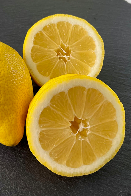Fruchtzubereitung | Zitrone | Bio